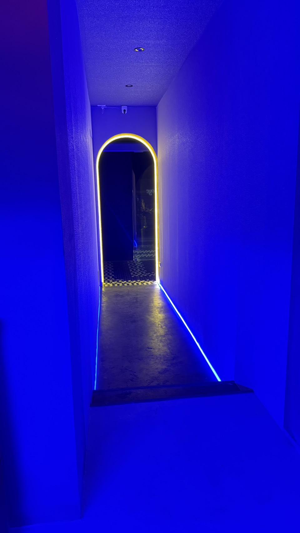 Neon Corridors
